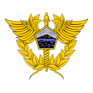 Logo Beacukai Buton Tengah